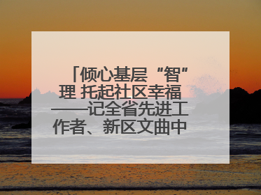 倾心基层“智”理 托起社区幸福——记全省先进工作者、新区文曲中心社区党委书记董世弘